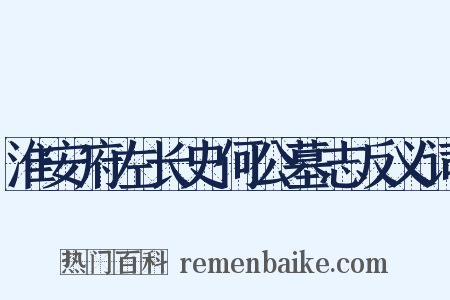 淮安府左长史何公墓志反义词是什么意思的图片